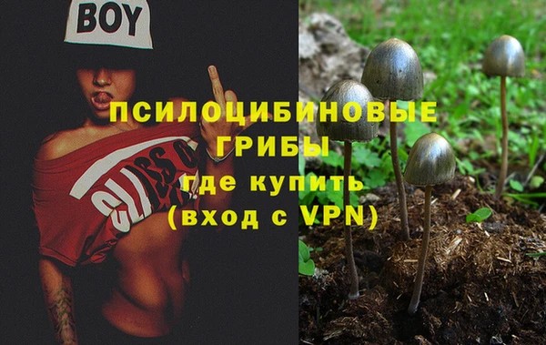 герыч Дмитров