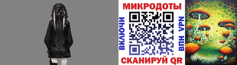 Купить закладки  Ершов  Галлюциногенные грибы Psilocybine cubensis 